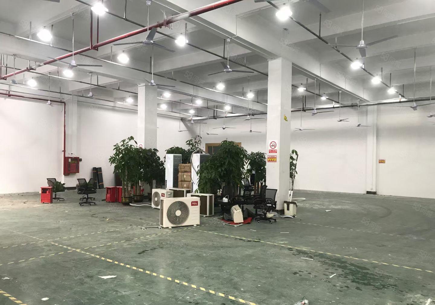 大浪商业中心，标准厂房一楼，门口空地大，进出车方便，行业不限