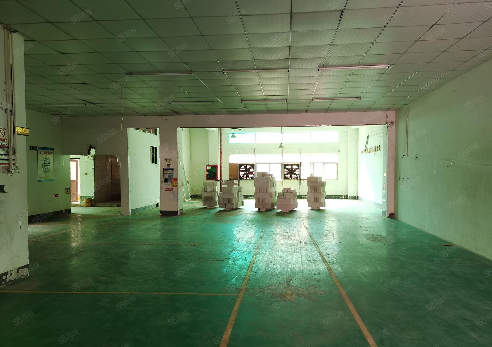 深圳观澜主干道工业楼上标准厂房270平起租，交通方便，形象好