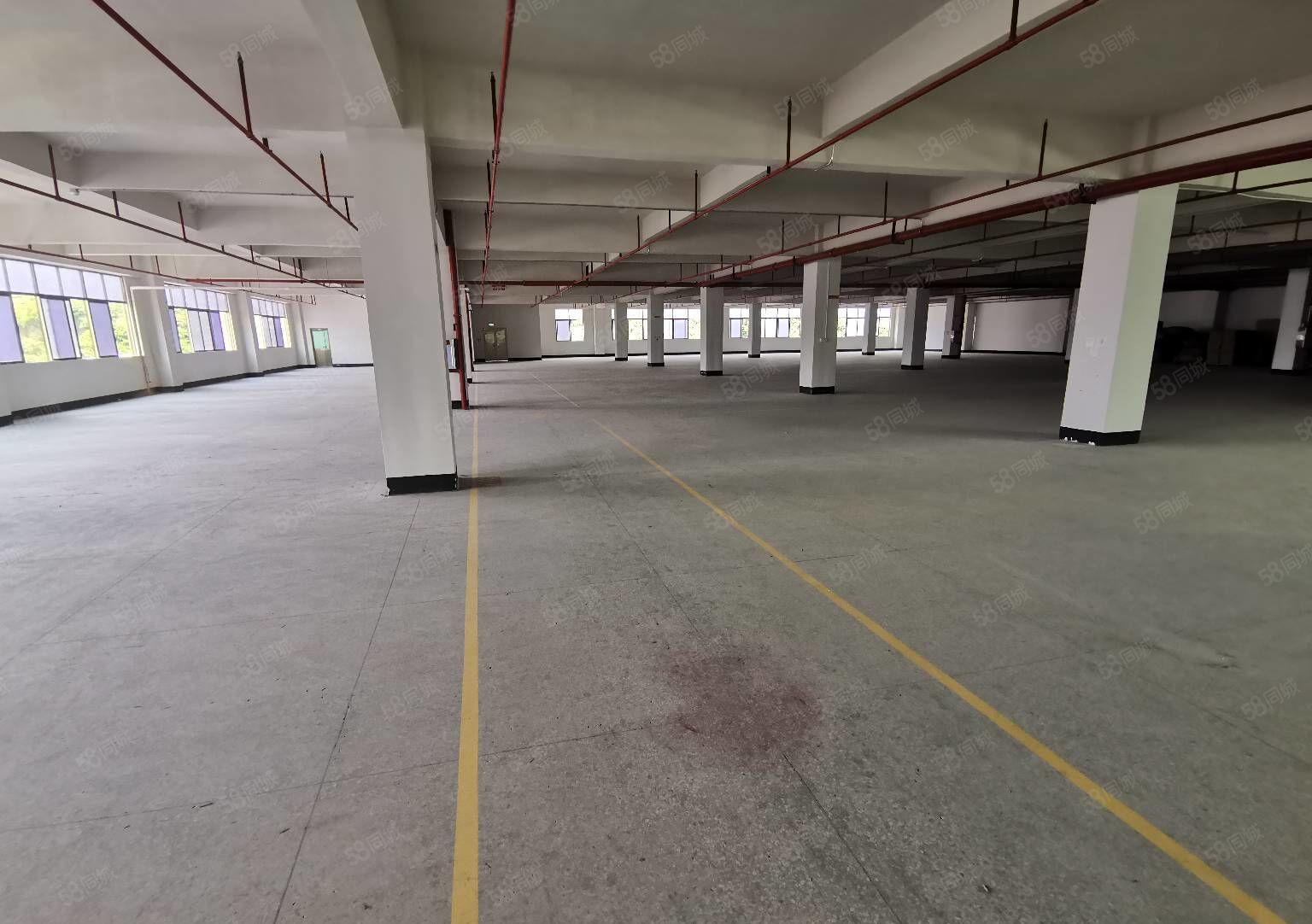 28元起龙华大浪原房东厂房仓库5000平500平起租，地铁旁