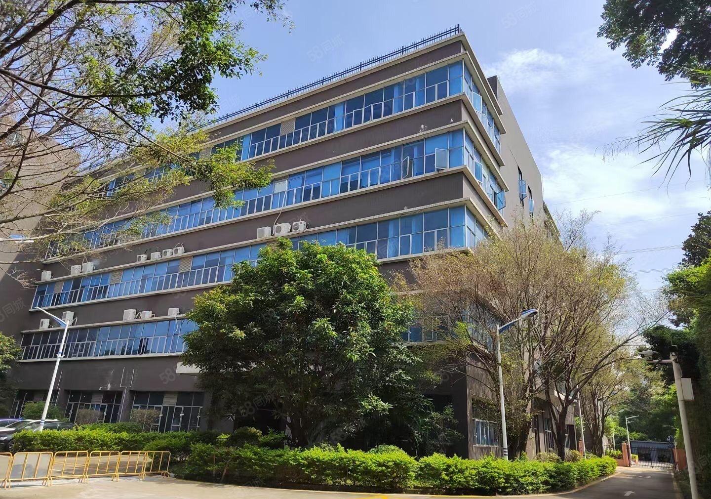 樟坑径紧挨板田，原房东花园式厂房，带两部三吨电梯，科技园里面