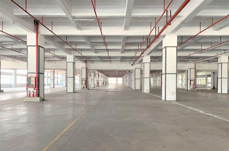 龙华大浪红本厂房仓库工业区4600平可分租带丙二类消防易招工