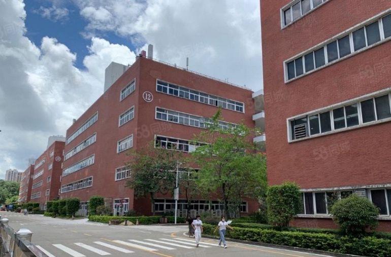 花园式办公厂房，环境好生活配套齐全，新出整层3000平带装修