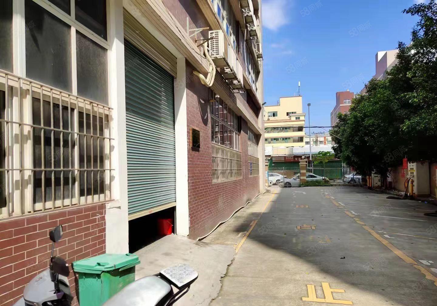 龙华河背工业区新出一楼380平精装办公室