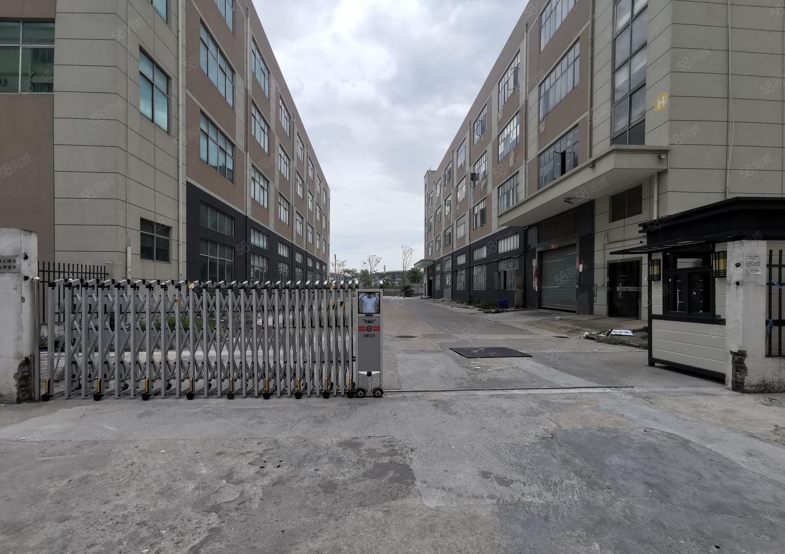 龙华观澜大富工业园5000平独门独院一楼仓库厂房出租可分租