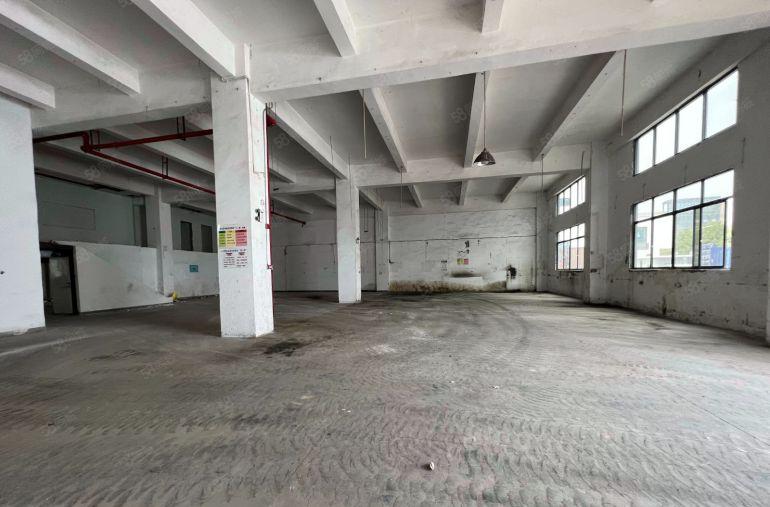 龙华电商办公一楼厂房890平仓库出租空地大带卸货平台很好招工