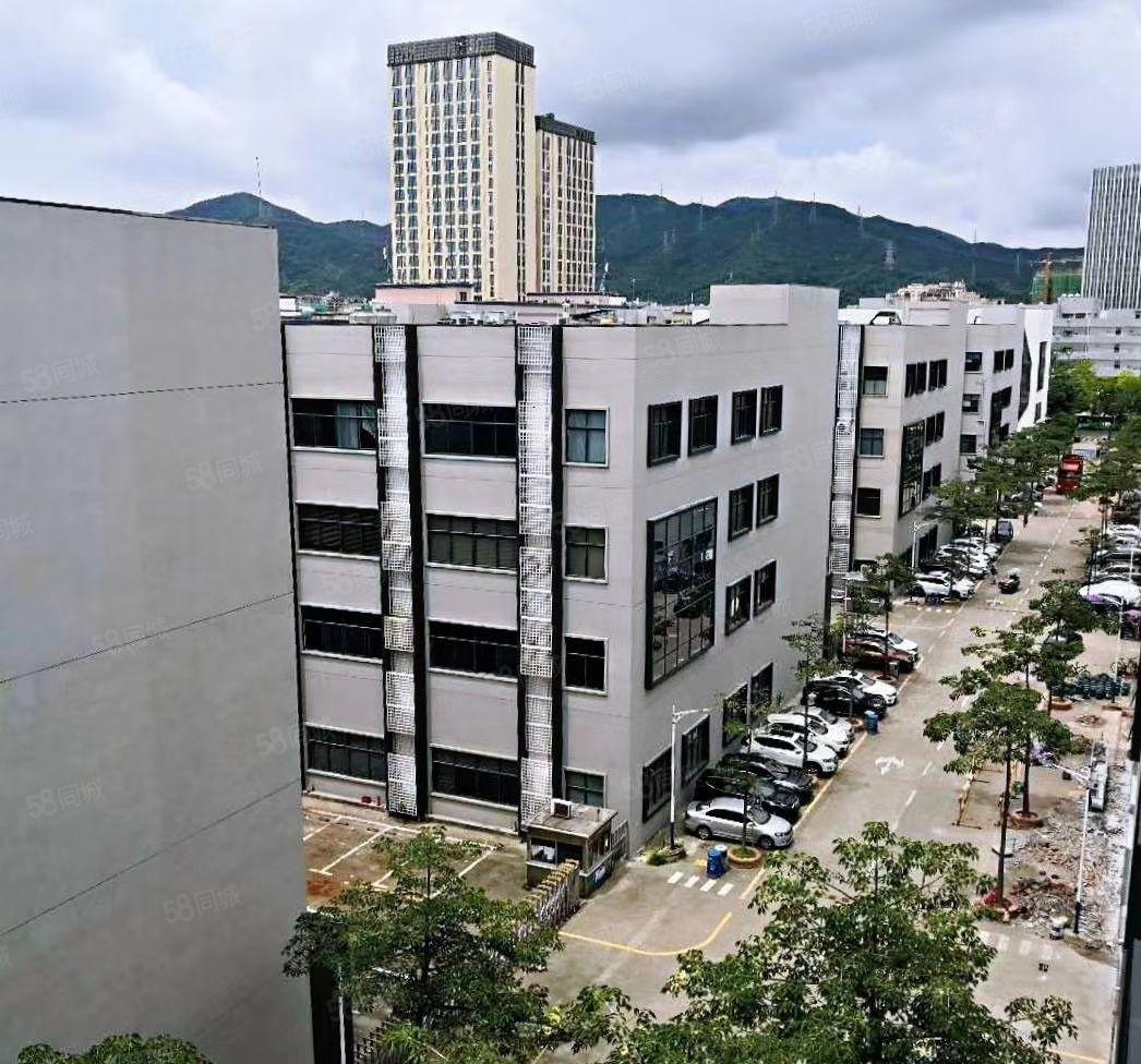 龙华建筑面积出租独栋独院6000平厂房出租可分租工业园仓库租