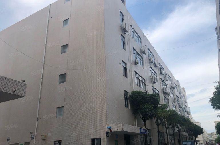 大浪商业中心附近新出楼小面积厂房出租，300平米起分适合办公