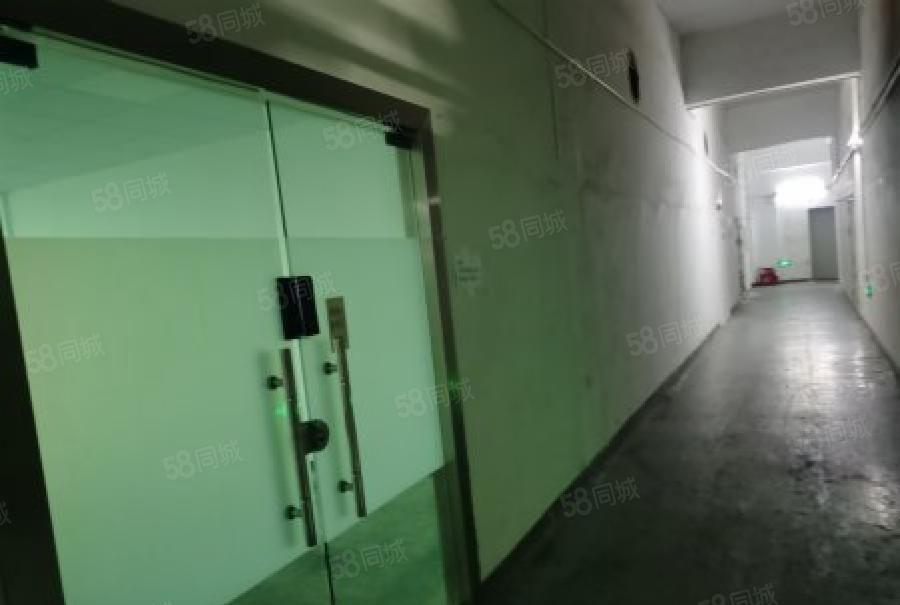 龙华区观澜街道库坑新出三楼650平方，带装修，厂房出租