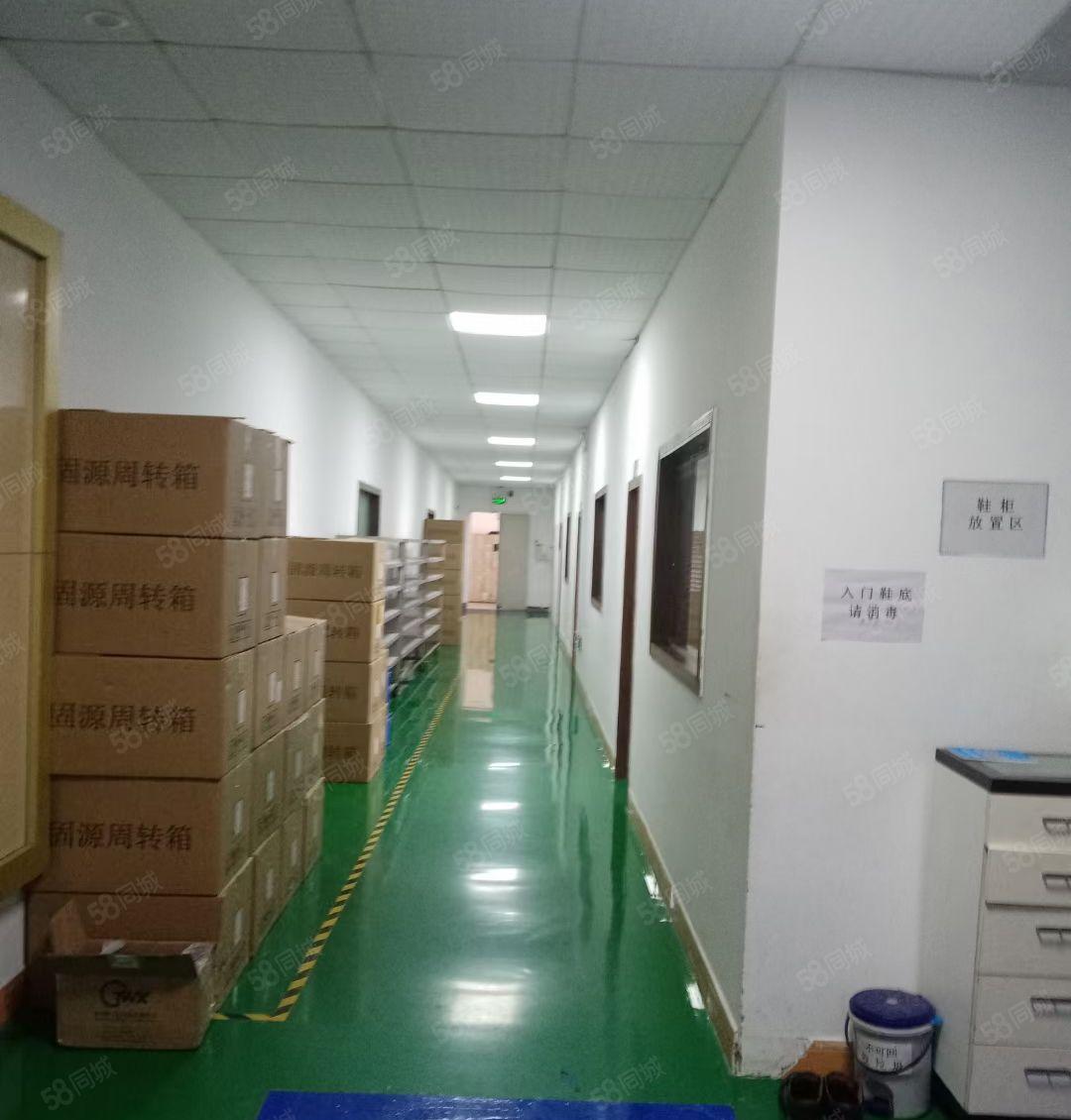 原房东，无尘车间，环境好