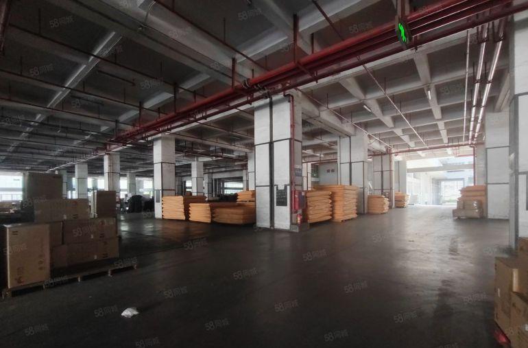 龙华红本物流仓500平方厂房仓库出租带消防喷淋卸货平台地铁口