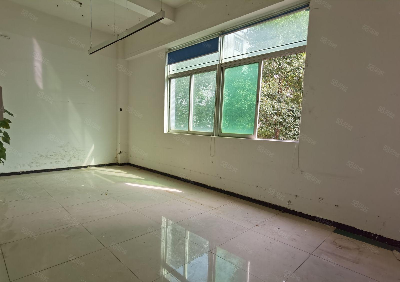 龙华大浪华宁路原房东标准厂房1200平米出租现成办公室和车间