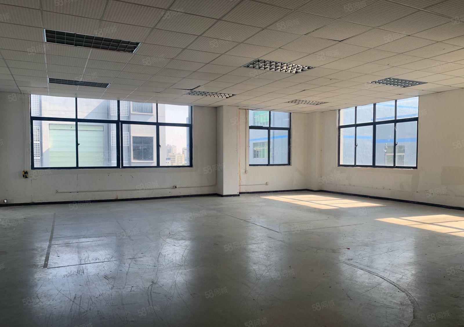 龙华大浪原房东红本实际面积1620平整层大平层厂房出租，可分