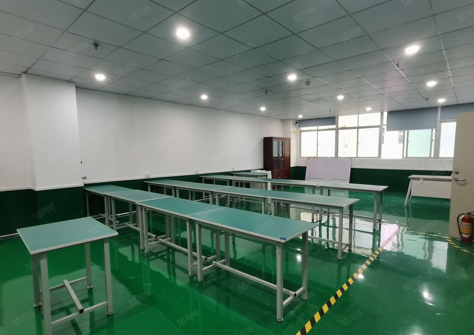 观澜章阁大富工业区1000平方现成精装修厂房出租分租拎包入住