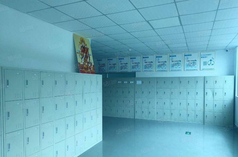 低价出租观澜电商园1600平整层带装修大小分一楼厂房仓库出租