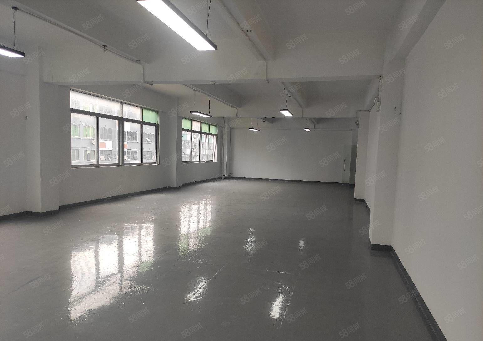龙华油松双面采光精装厂房300平米出租