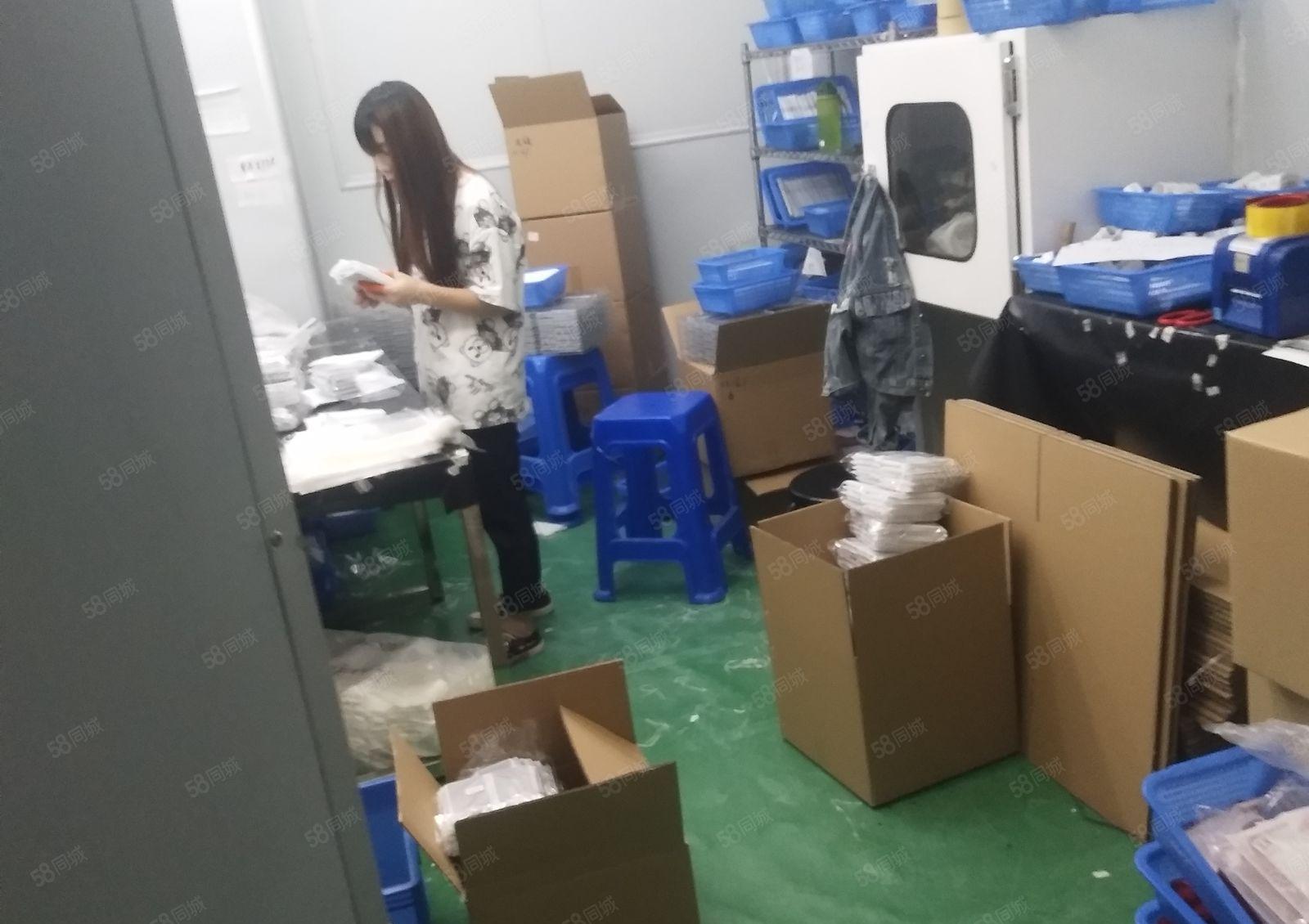 豪装，原房东，可以签8年合同