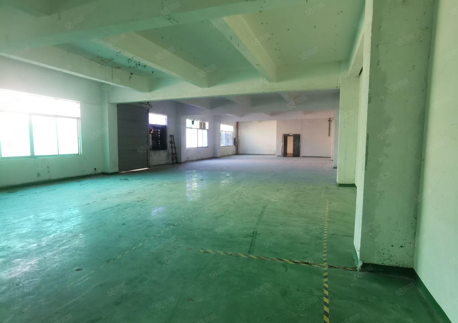 大浪新围一楼厂房出租大浪新围第二工业区一楼厂房出租