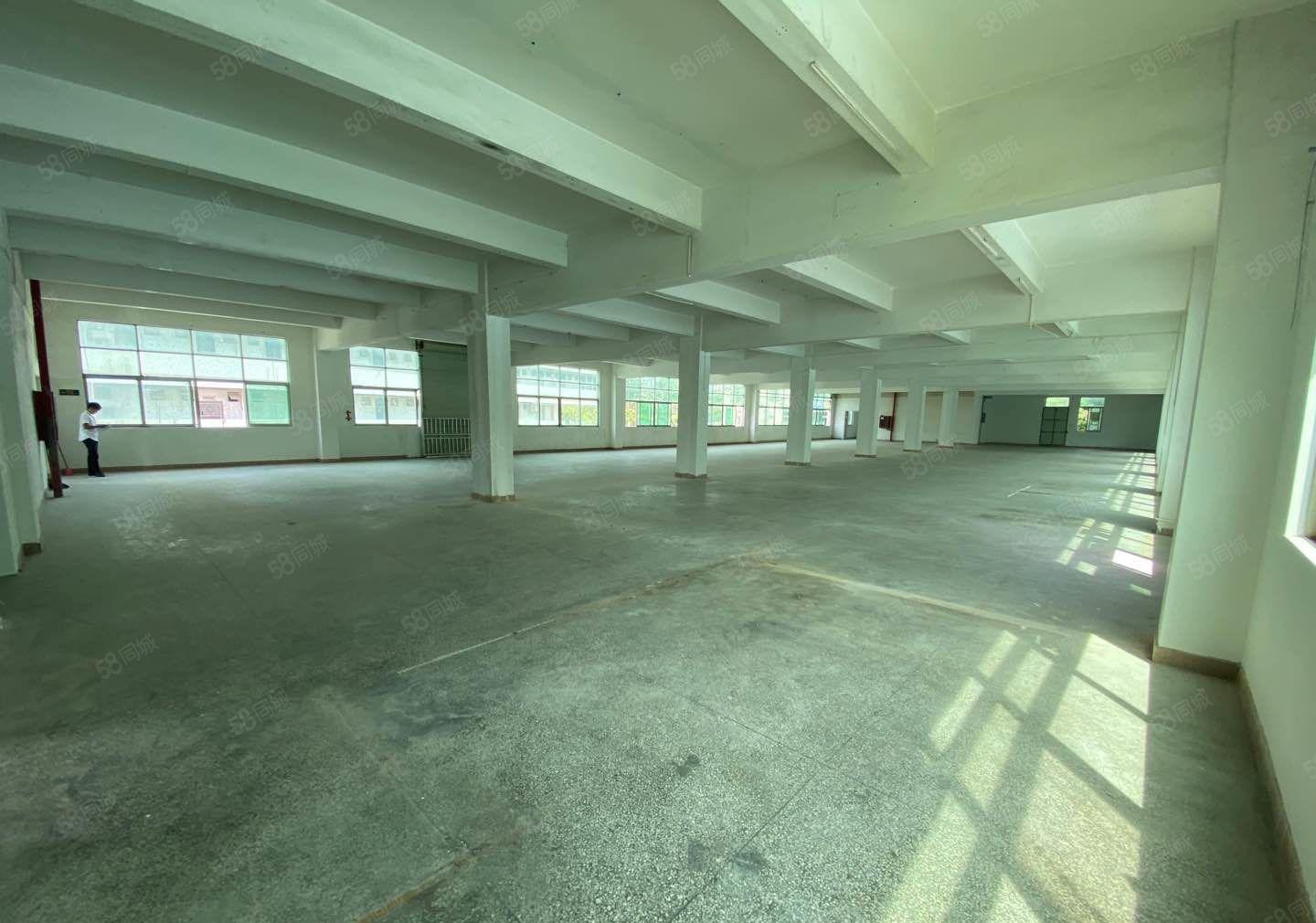 24起元龙华观澜原房东厂房仓库出租1楼层高6米方正空地大