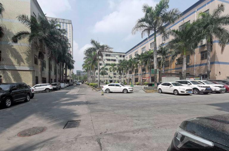 大浪新百丽300至1000平原房东独院精装修一楼仓库厂房出租