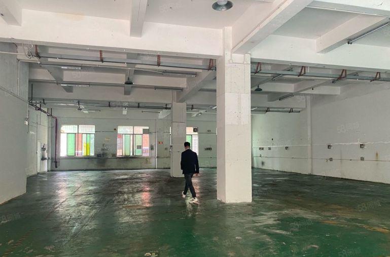 龙华大浪南路，一楼厂房588平出租，单价32元一平
