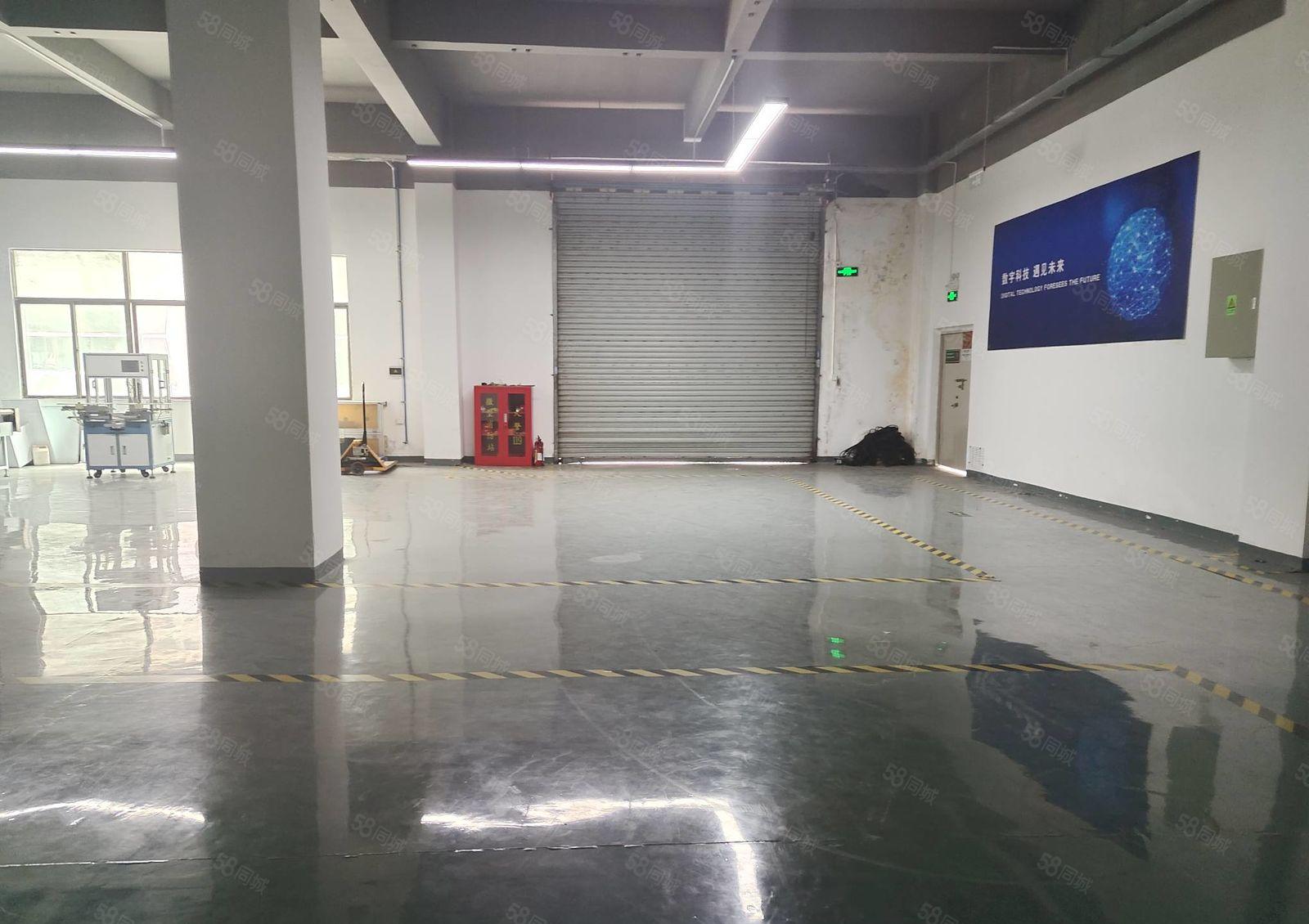 龙华大浪布龙路边石观工业区精装修一楼厂房出租1600平可分租