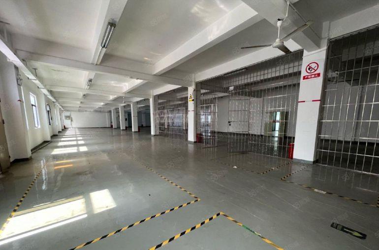 500平起租 观澜福民楼上3000平红本厂房仓库出租 可分租