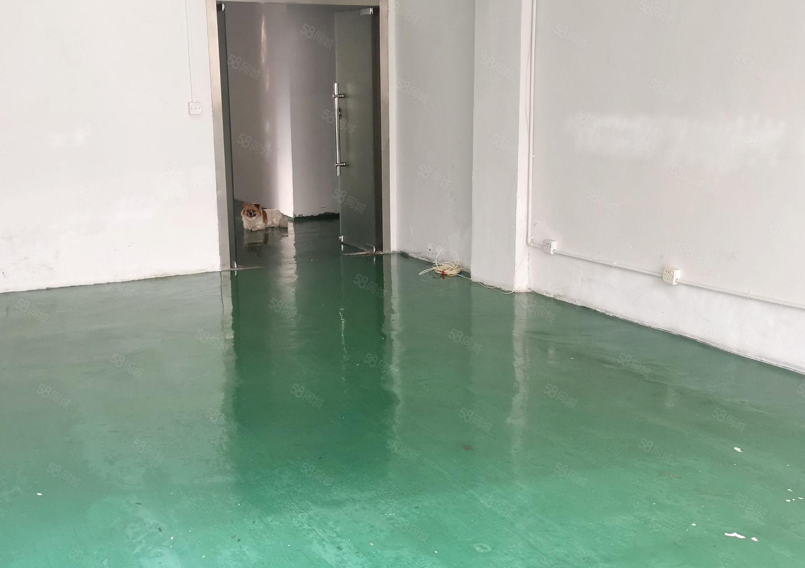 龙华观澜小面积厂房办公室仓库招租