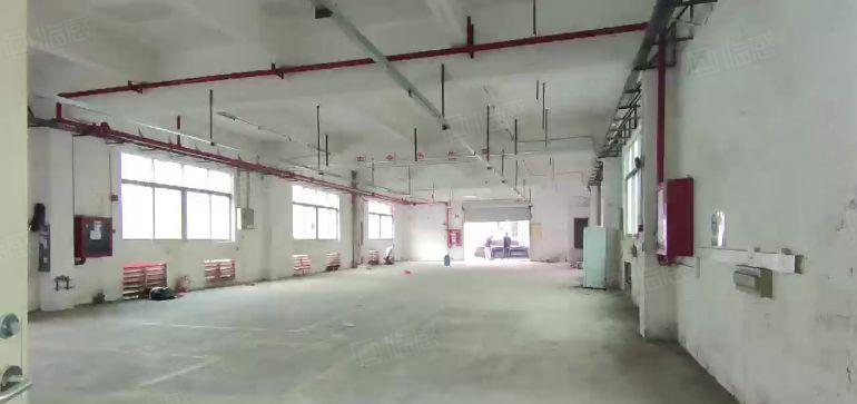 观澜标准一楼厂房出租560平方 空地大，面积实