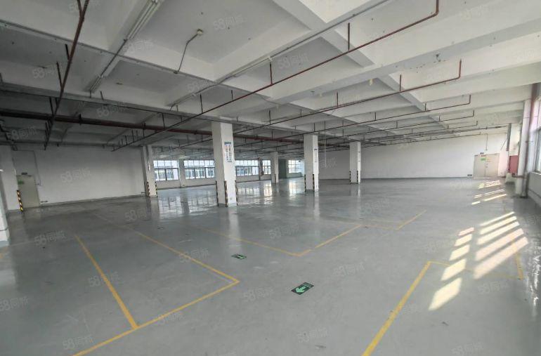 21元起租龙华地铁口工业区新出一楼二楼2150平厂房出租分租