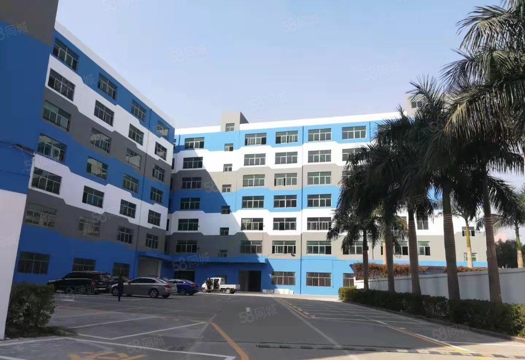 观澜松元厦环观中路轻轨站5F600平带精装修出租