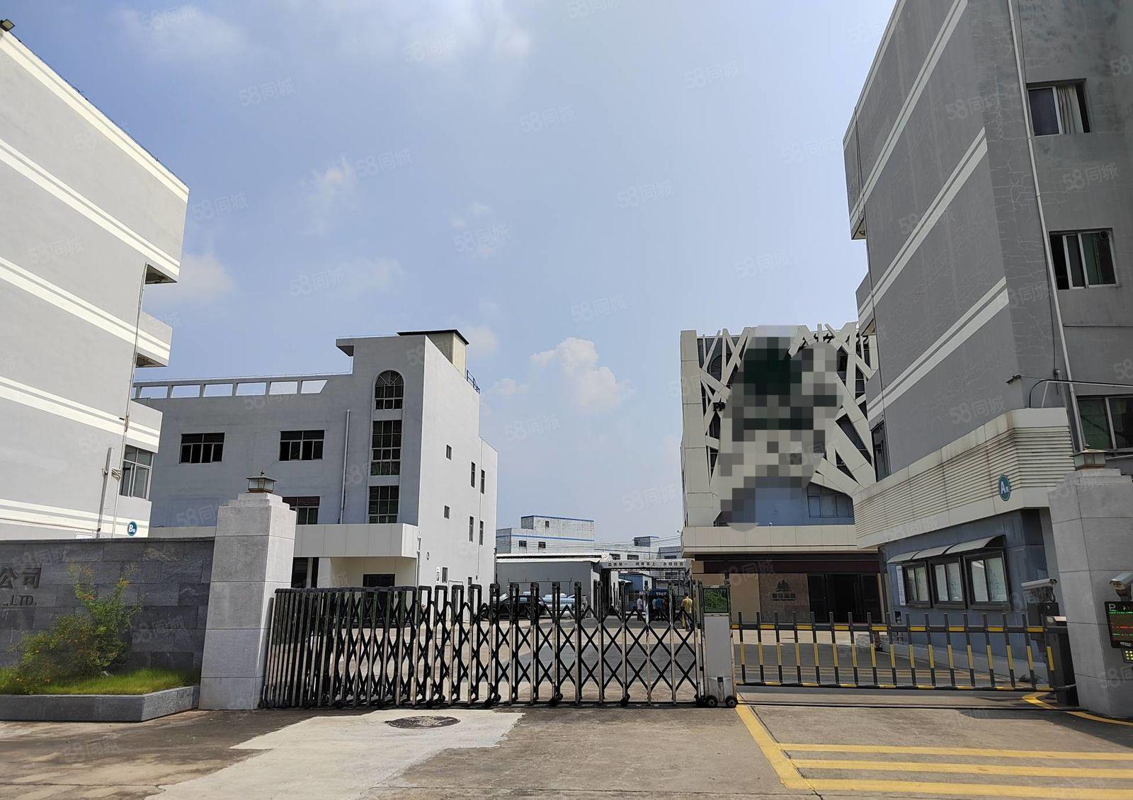 龙华大浪工业区电商产业园新出独栋厂房3600平方出租 可分