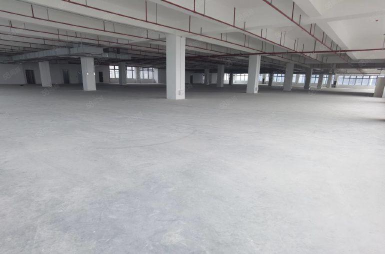 低价！观澜章阁12万平方红本工业研发办公厂房出租500平起分