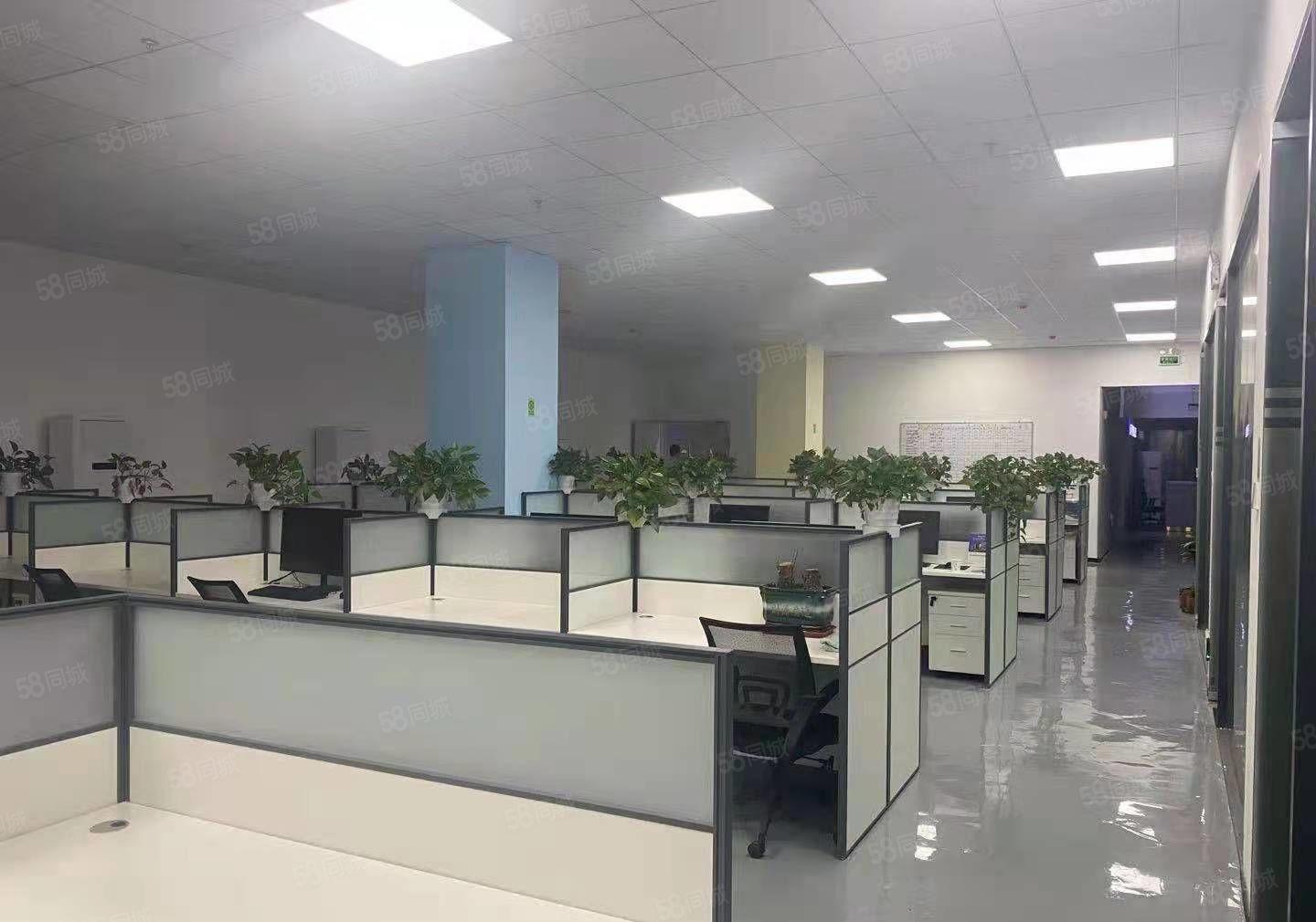 龙华大浪原房东一楼1000平精装标准厂房出租.