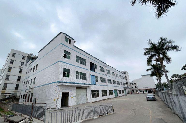 独门独院龙华区观澜1至3厂房6500平方宿舍1500平方