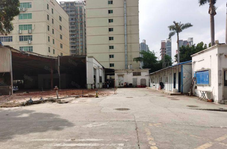 800平起分租龙华清湖2万平钢构工业园一楼仓库厂房出租空地大