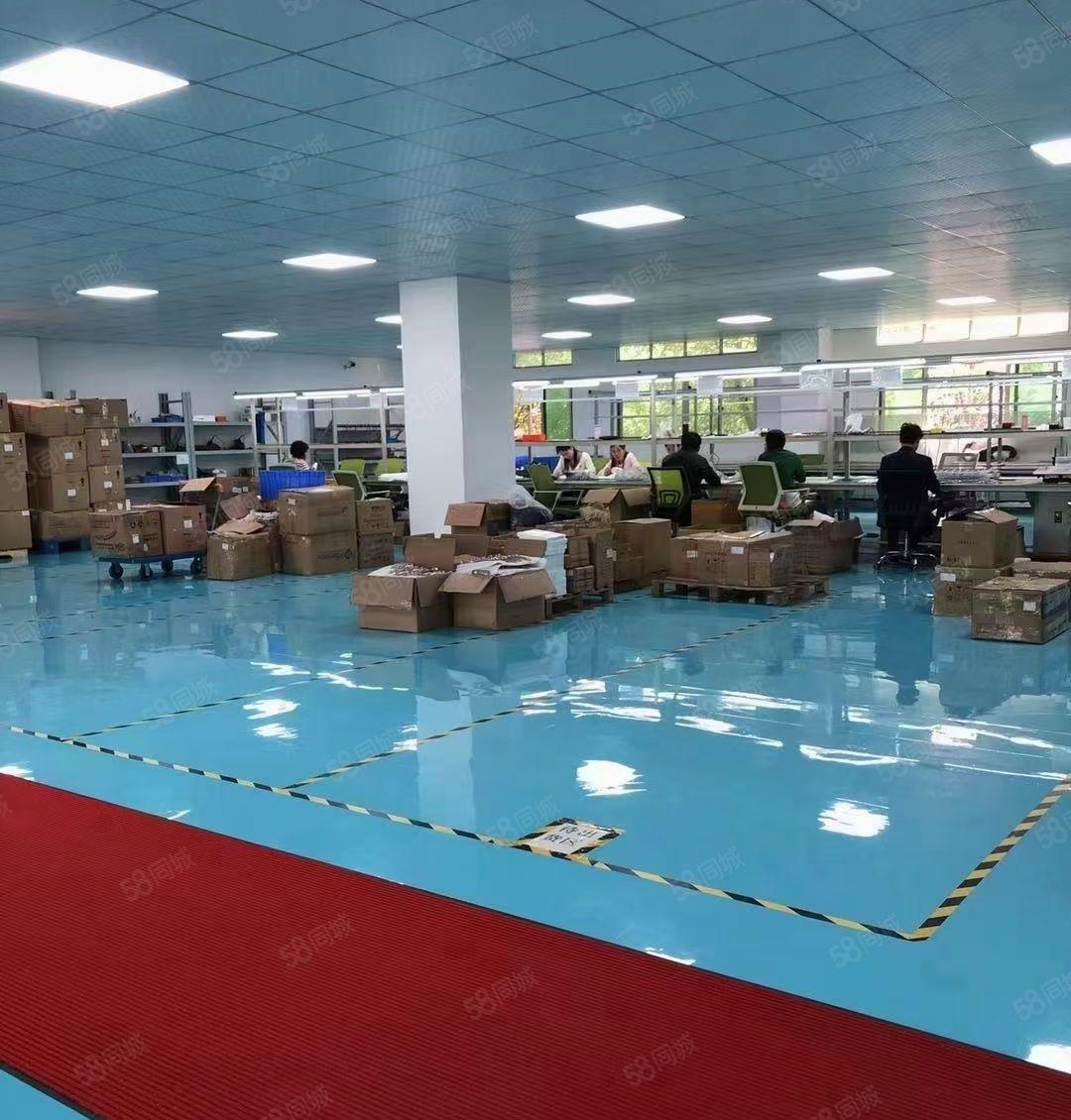 龙华500起分大型工业区带装修5000平方独栋厂房仓库出租，