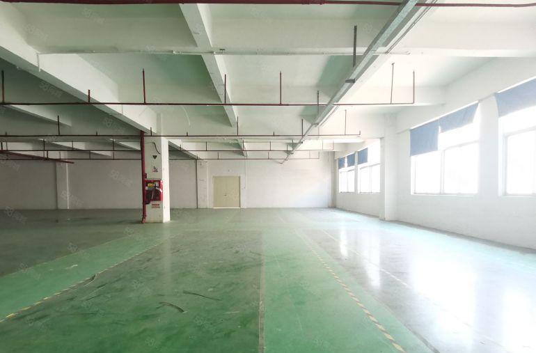 龙华观澜主干道边大富工业园区三楼标准厂房3520平，低价租！
