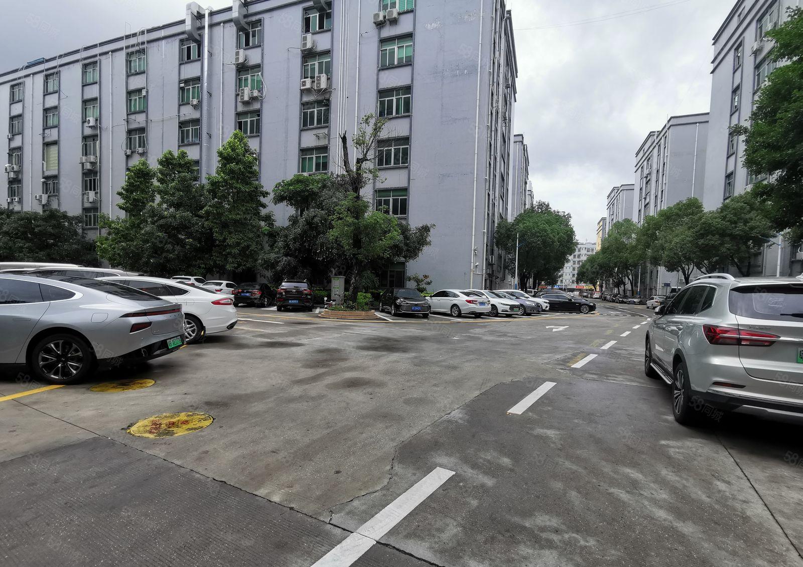 龙华大浪英泰独门独院工业园850平带精装修办公室仓库厂房出租