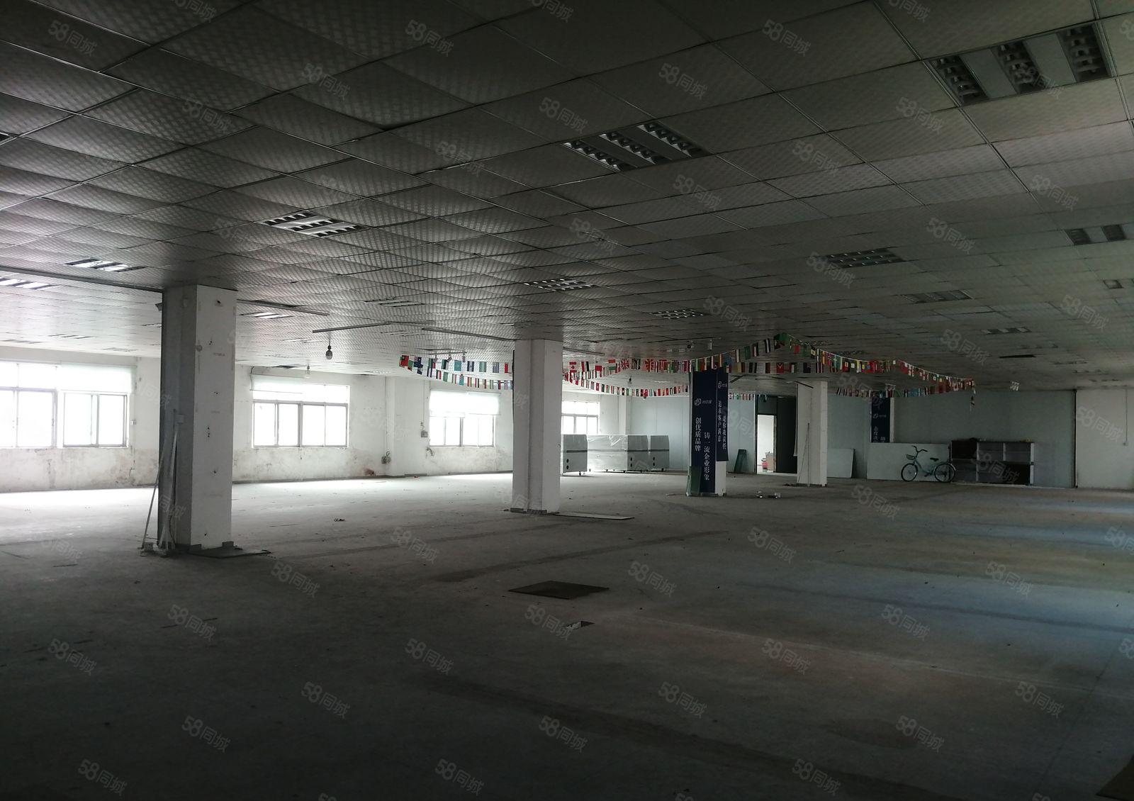 20元龙华大浪大浪南路600平车间吊顶园区形象好