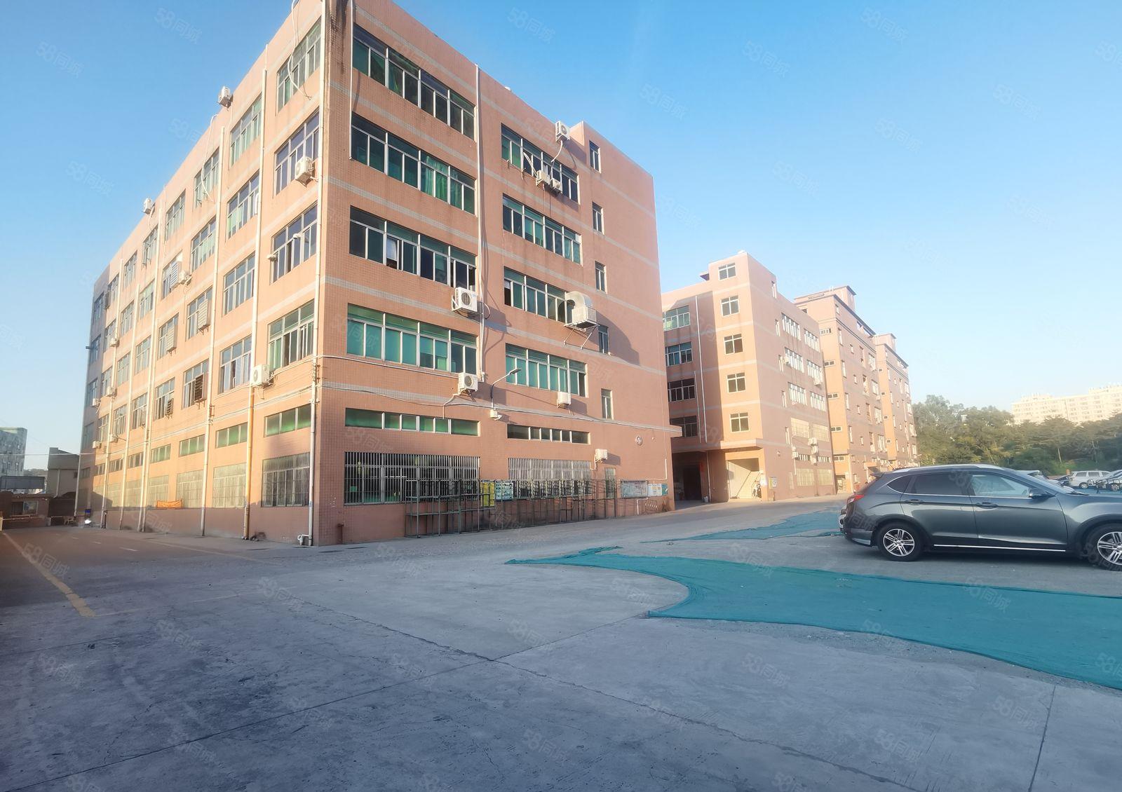 大水坑原房东大型园区楼上厂房出租，面积有980平米和400平