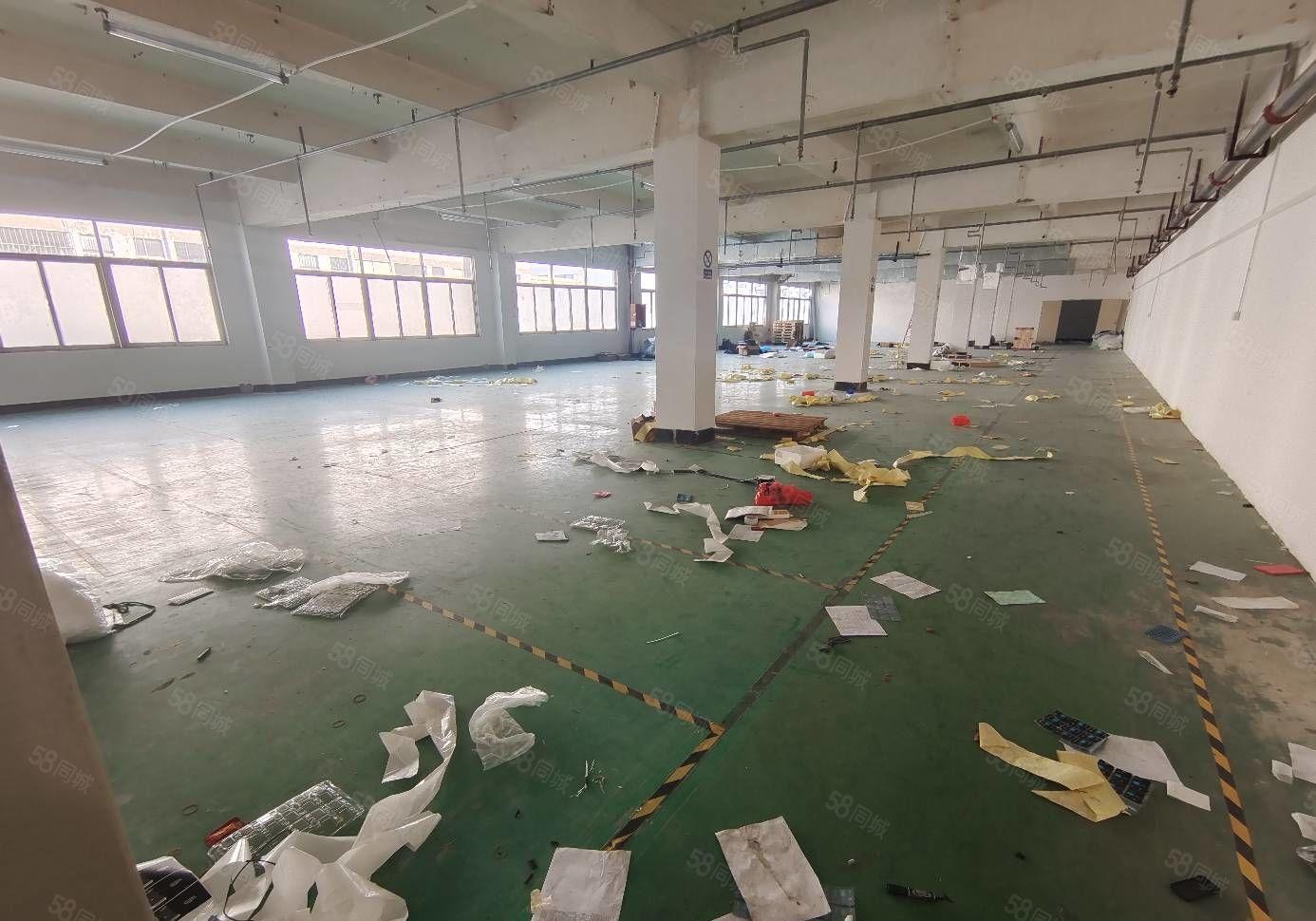 龙华大浪商业中心新出2楼1200平，可分租