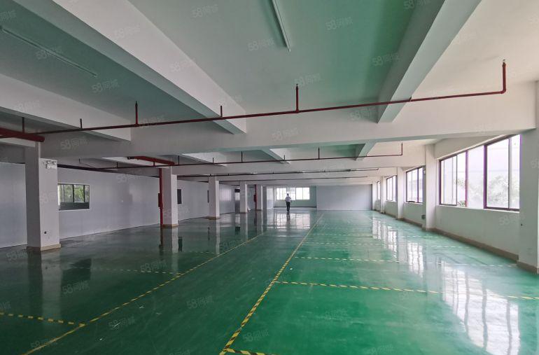 出租龙华大浪1000平标准厂房出租仓库招租500平起