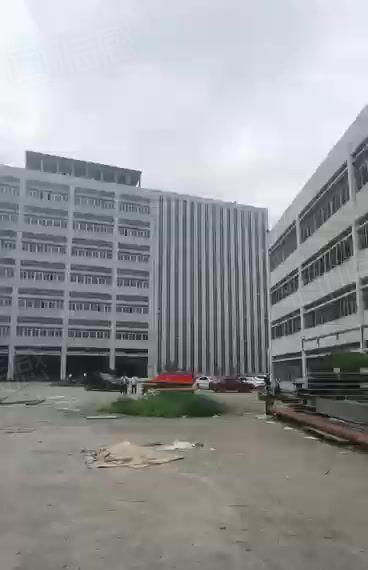 龙华大浪国际物流中心仓储冷链旗舰综合体楼上17000平可分租