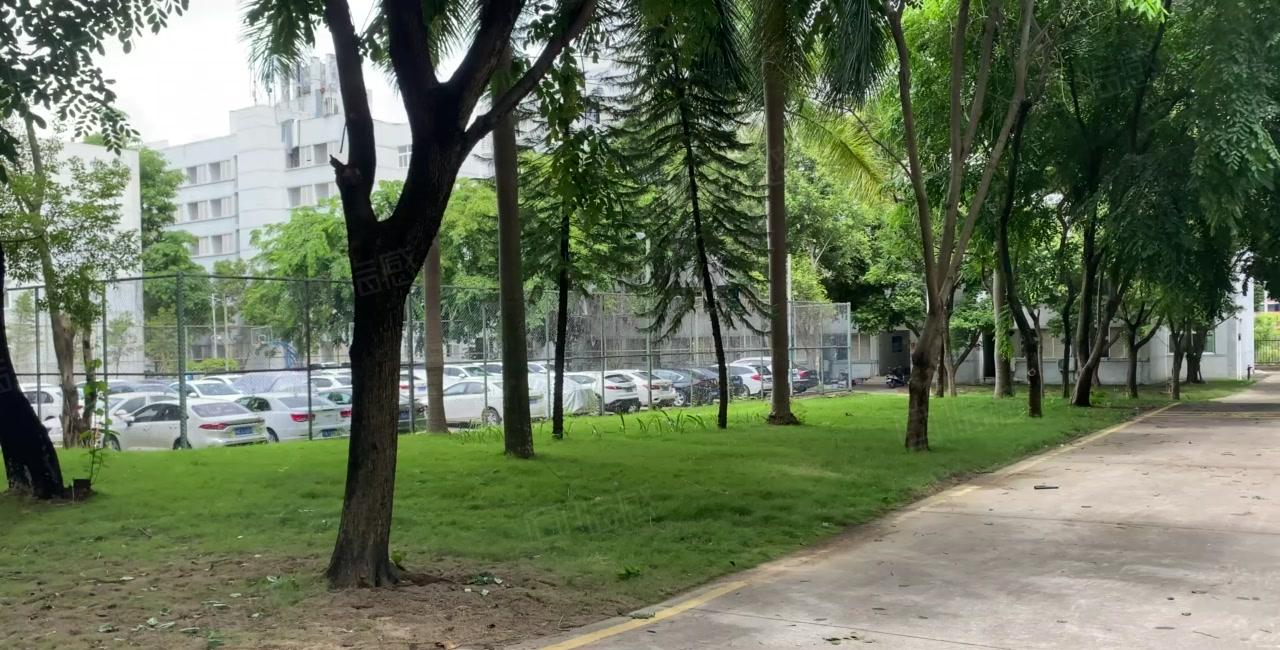 龙华大浪工业园2万平厂房出租500平起分租服装有补贴原房.