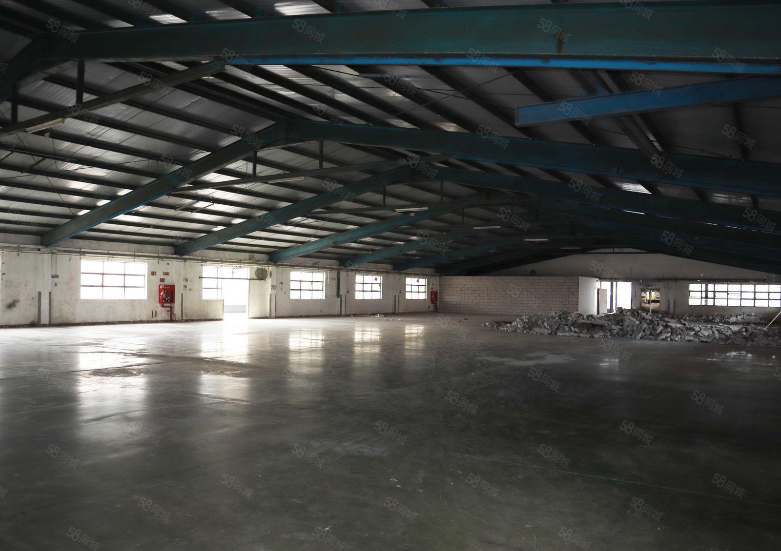 深圳观澜1000平米楼顶钢结构厂房直租，带电梯便宜出租