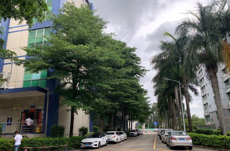 观澜地铁口旁原房东实际面积出租厂房一楼800平起带红本可大车