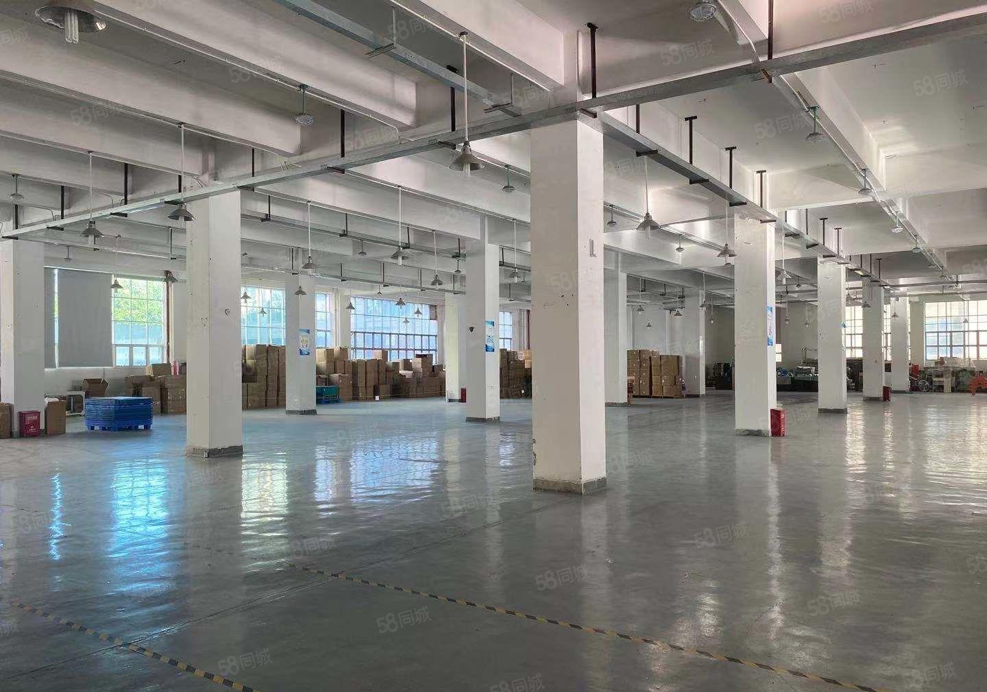 深圳龙华大浪商业中心附近一楼3800平红本物流厂房出租。
