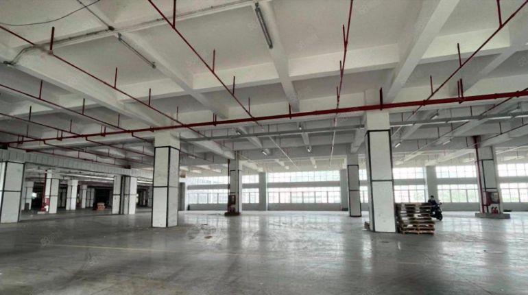 特价25 龙华20万平物流仓建筑面积出租 适合各类仓库行业