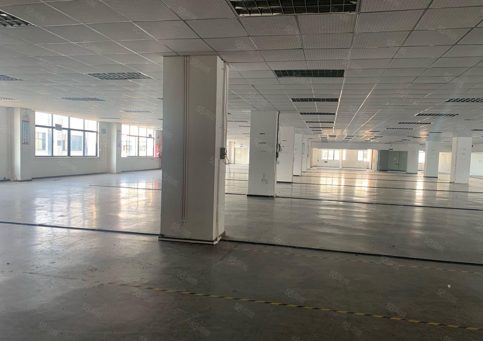 龙华大浪原房东红本实际面积1620平整层大平层厂房出租，可分