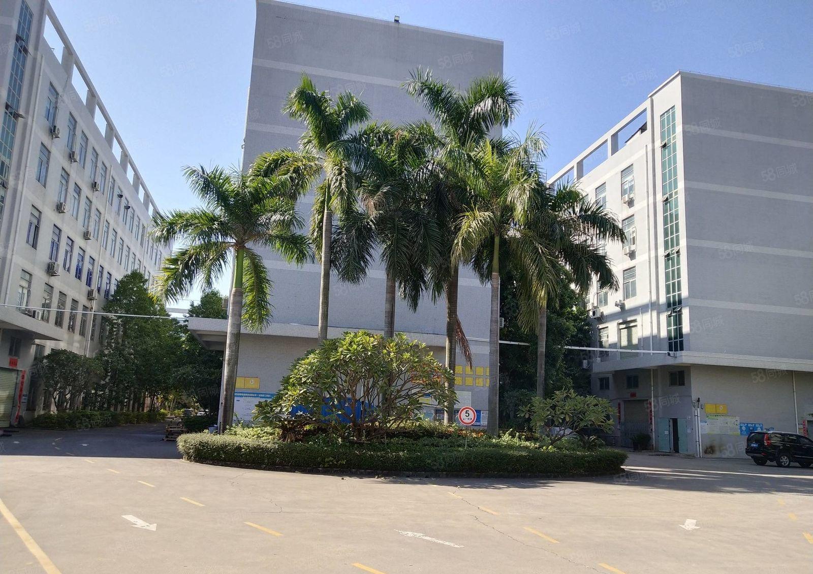 100平起分租观澜新田原房东独门独院三楼1000仓库厂房出租